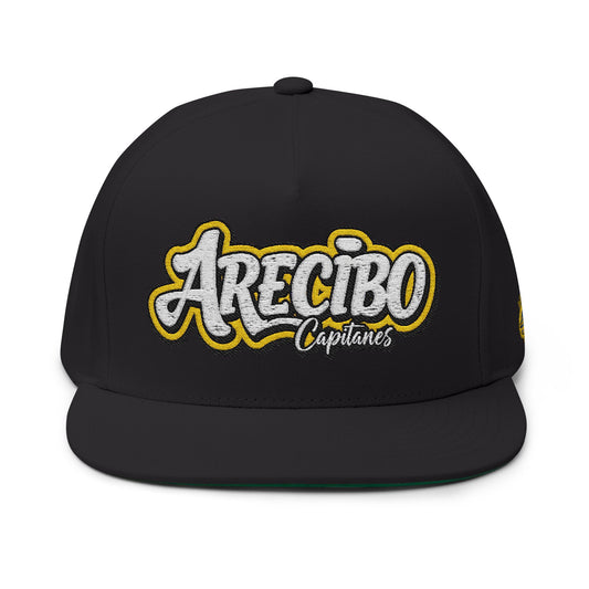 Arecibo -Snapback