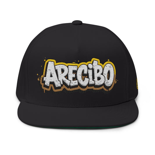 Arecibo - Snapback